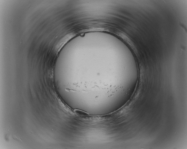 X0000102221193200808081310