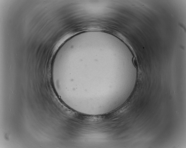 X0000102221195200808081310