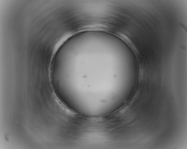 X0000102221196200808081310