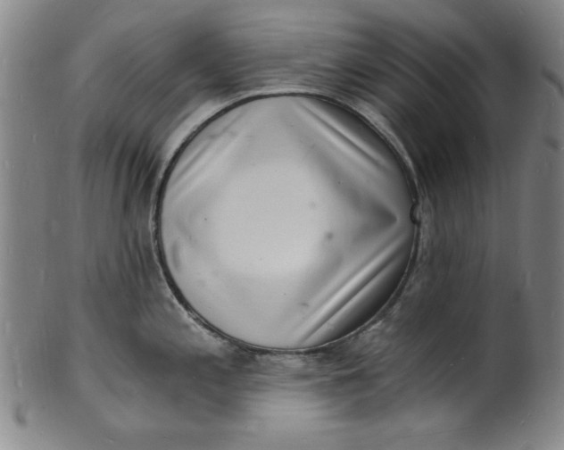 X0000102221197200808081310