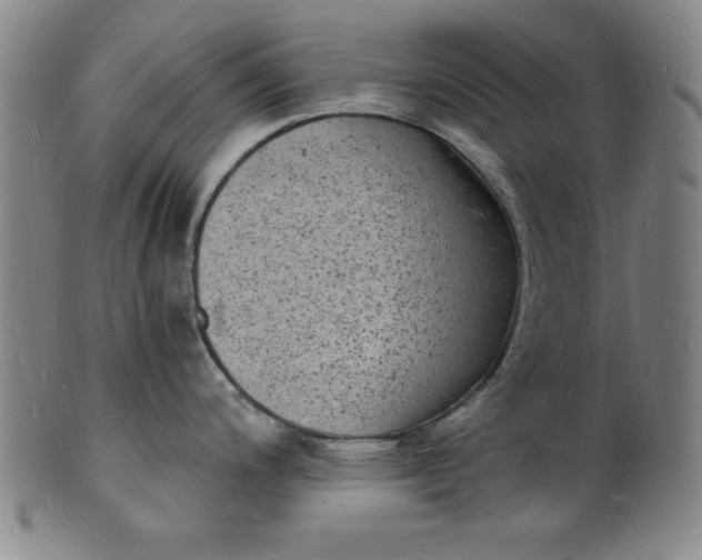 X0000102221200200808081309