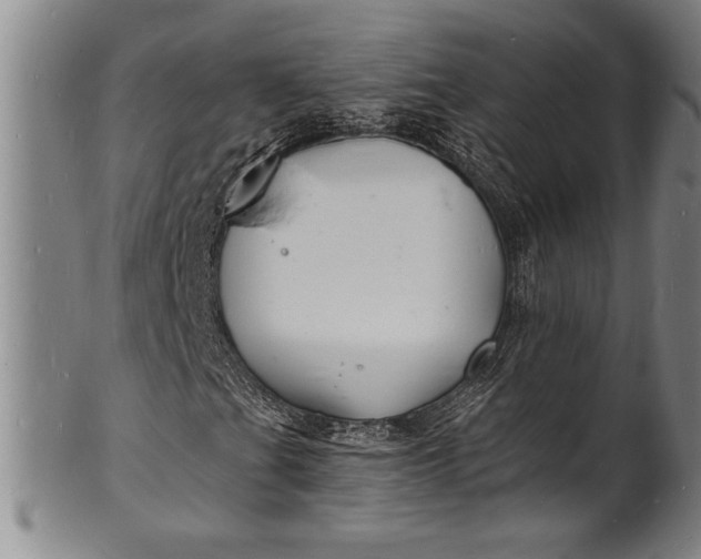 X0000102221201200808081309