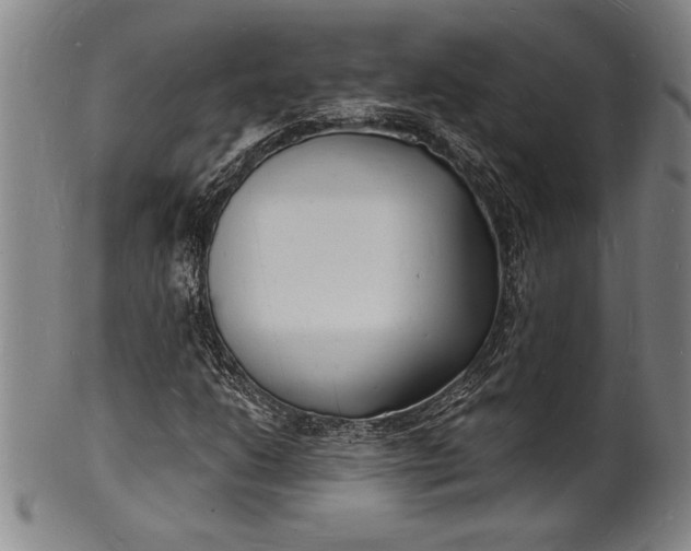 X0000102221206200808081309