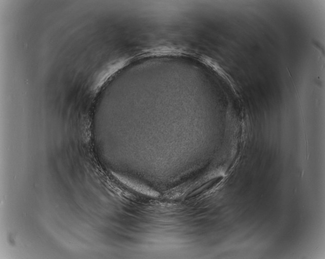 X0000102221213200808081309