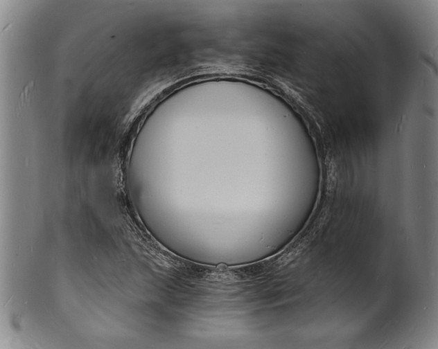 X0000102221215200808081309