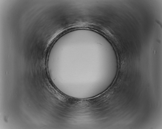 X0000102221216200808081309