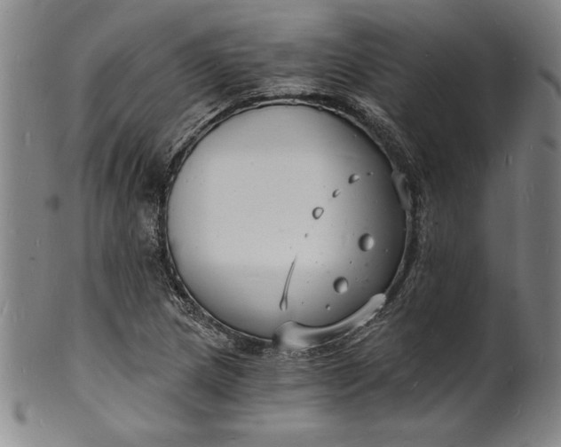 X0000102221217200808081309