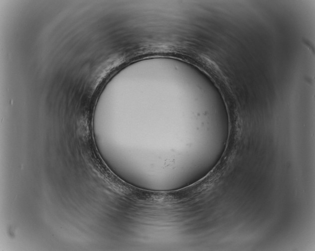 X0000102221218200808081309