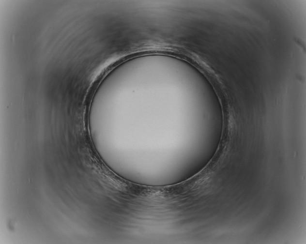 X0000102221222200808081309