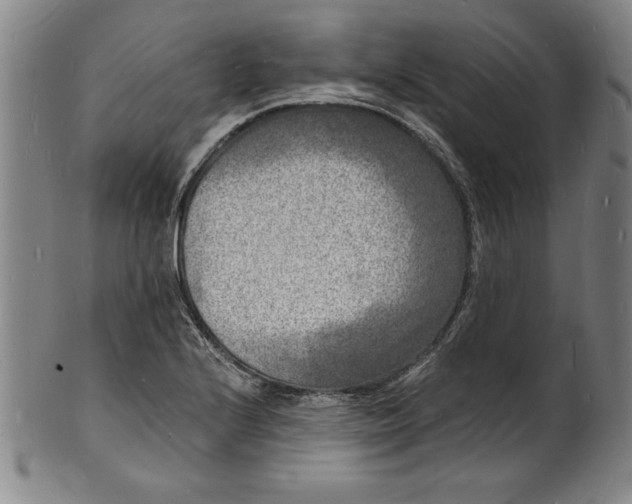 X0000102221224200808081309