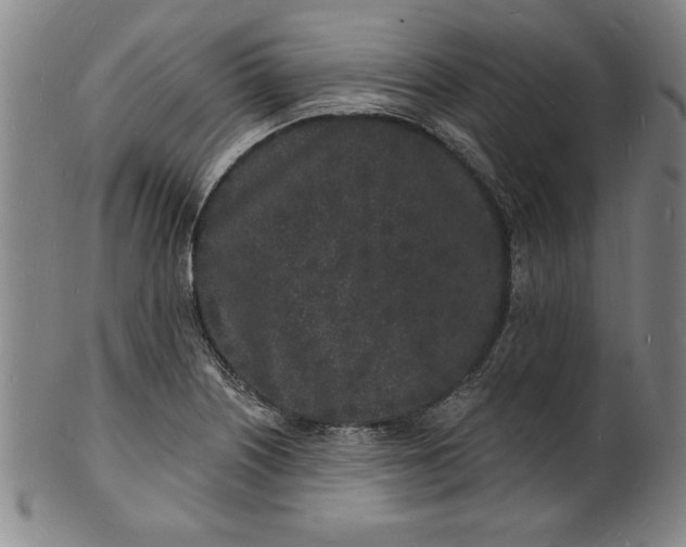 X0000102221226200808081309