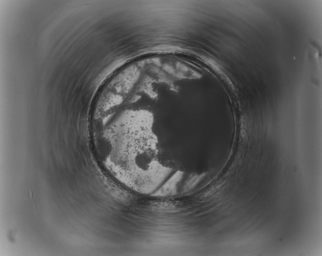 X0000102221229200808081309