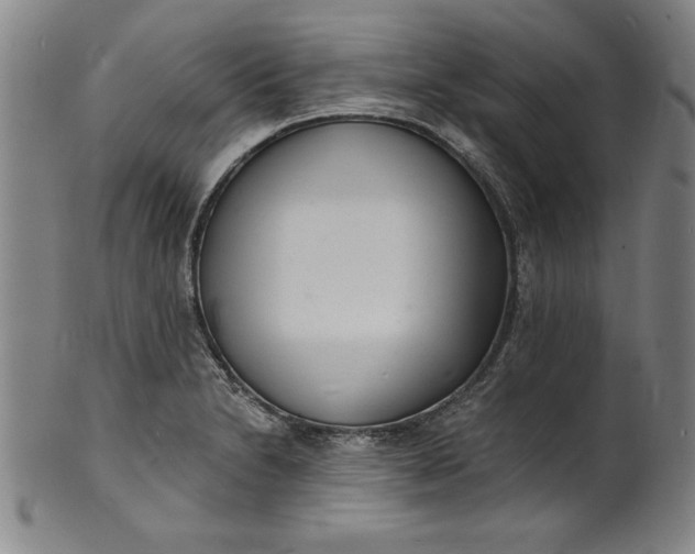 X0000102221230200808081309