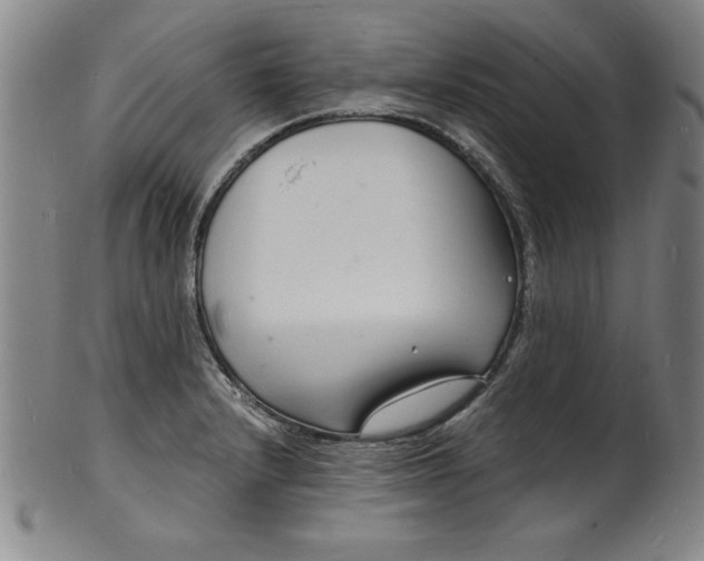 X0000102221232200808081309