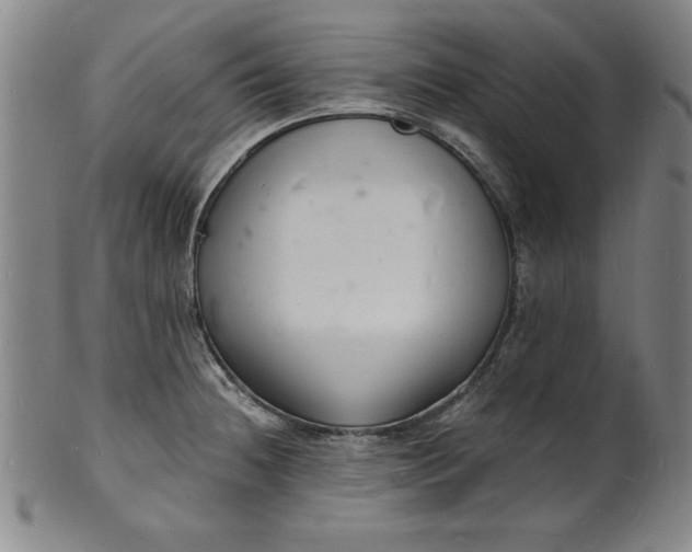 X0000102221236200808081309