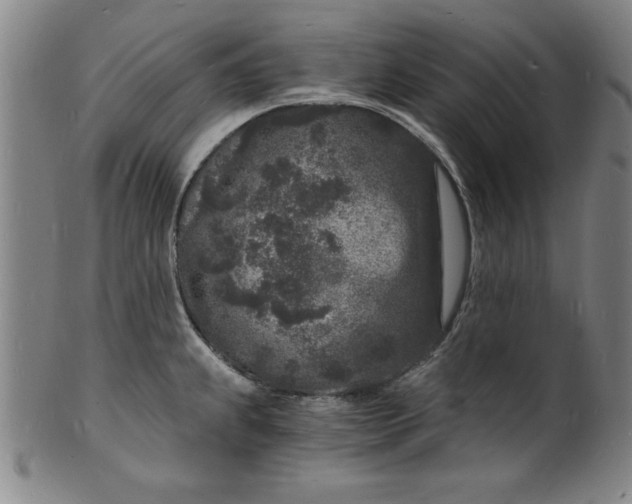 X0000102221239200808081309