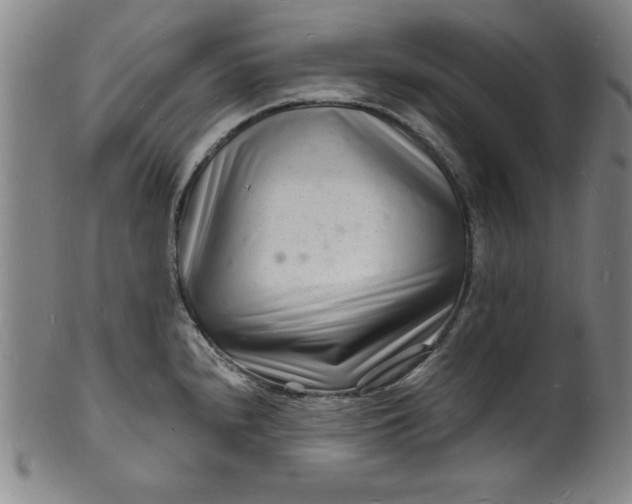 X0000102221240200808081309