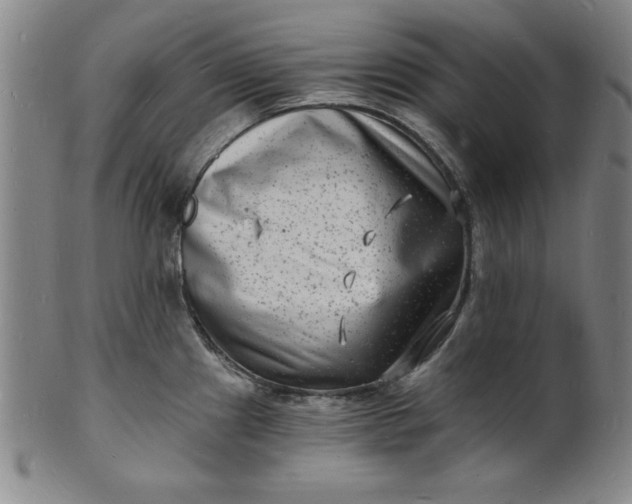 X0000102221241200808081309