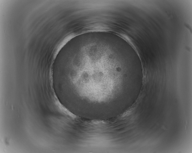 X0000102221243200808081309