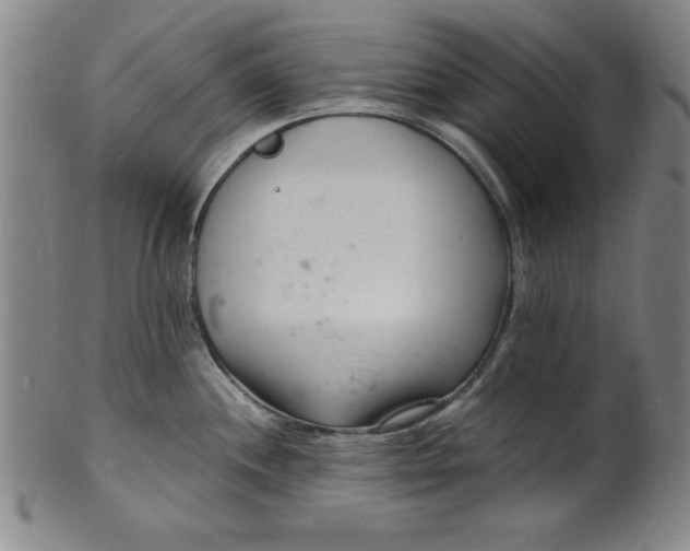 X0000102221244200808081309