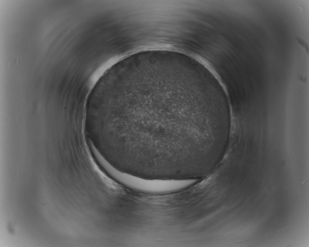 X0000102221245200808081309