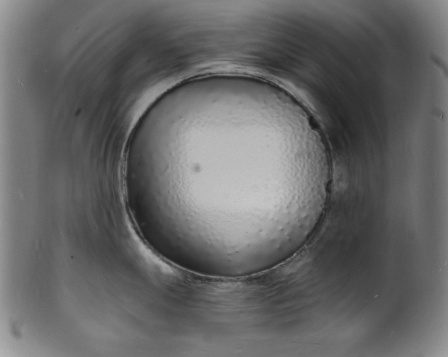 X0000102221247200808081309