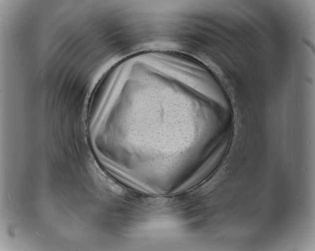 X0000102221248200808081309