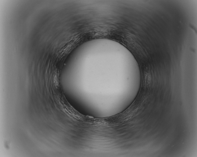 X0000102221250200808081309