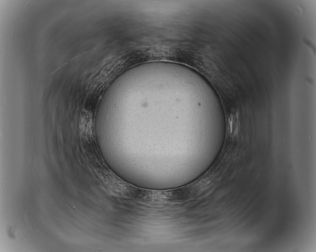 X0000102221251200808081309