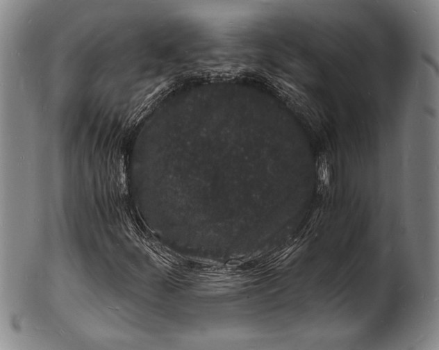 X0000102221252200808081309