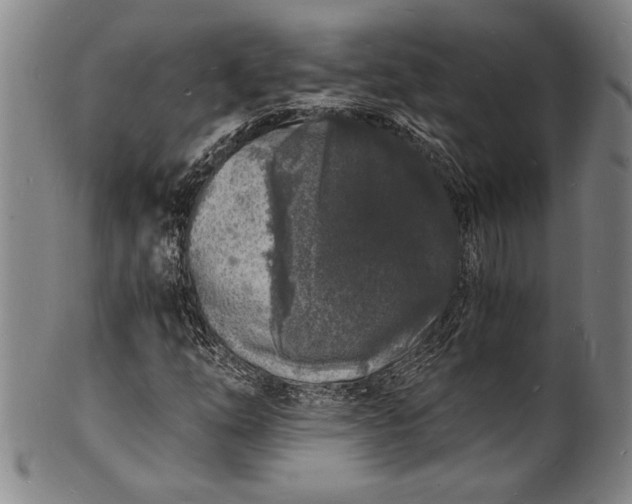 X0000102221254200808081309