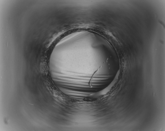 X0000102221256200808081309