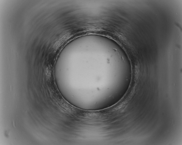 X0000102221257200808081309