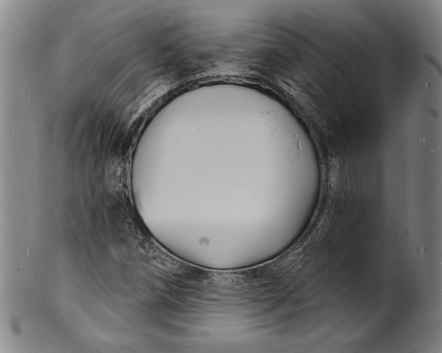 X0000102221258200808081309