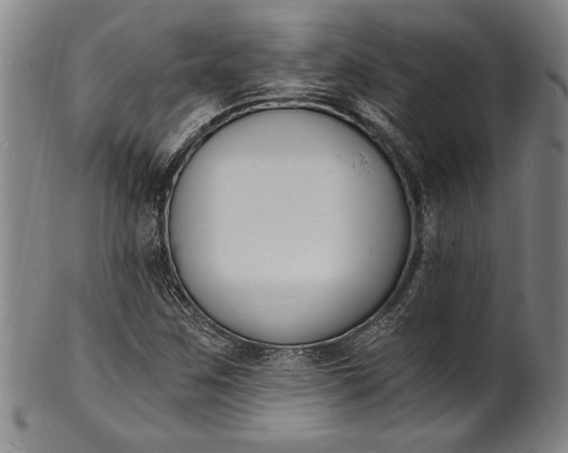 X0000102221259200808081309