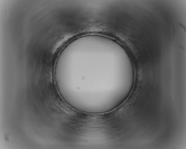 X0000102221262200808081309