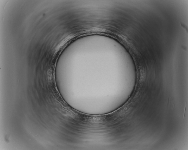 X0000102221266200808081309