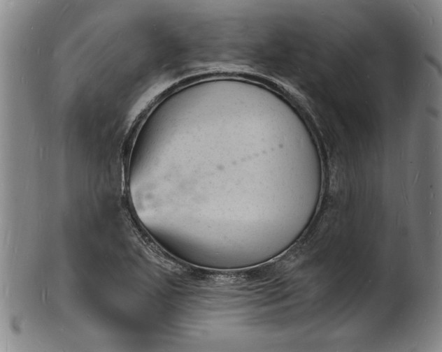 X0000102221271200808081308