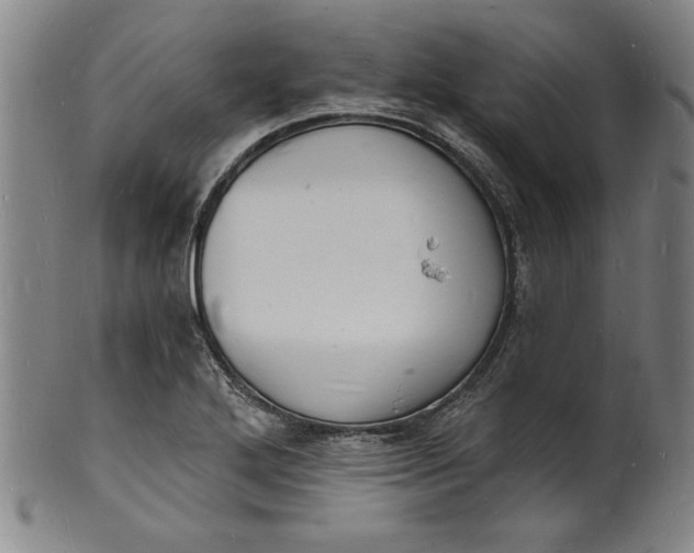 X0000102221272200808081308