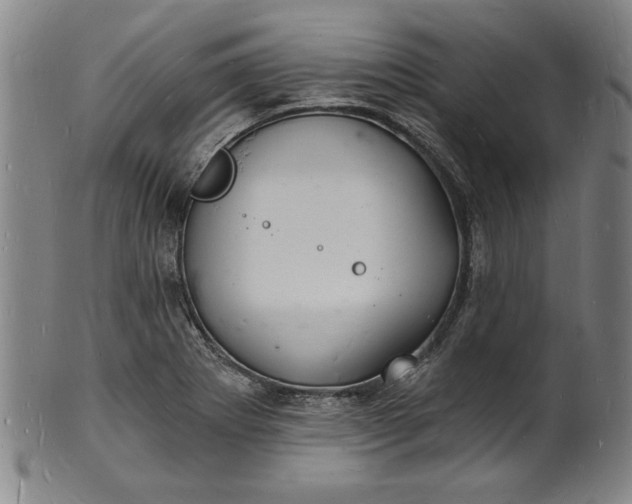 X0000102221273200808081308