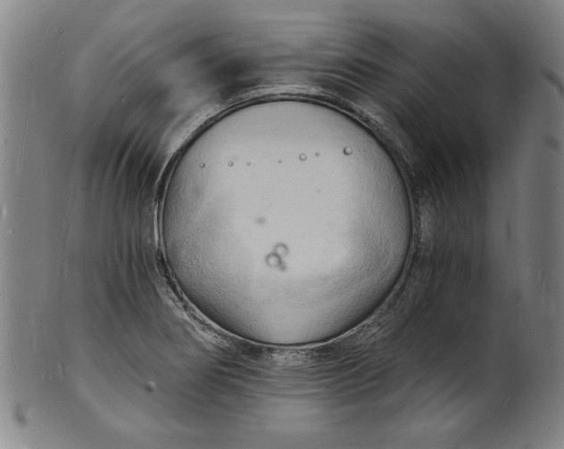 X0000102221274200808081308