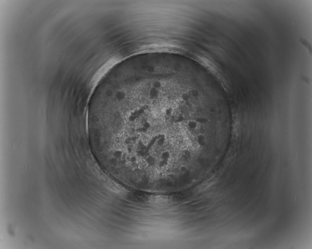 X0000102221275200808081308