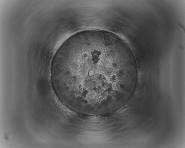 X0000102221279200808081308