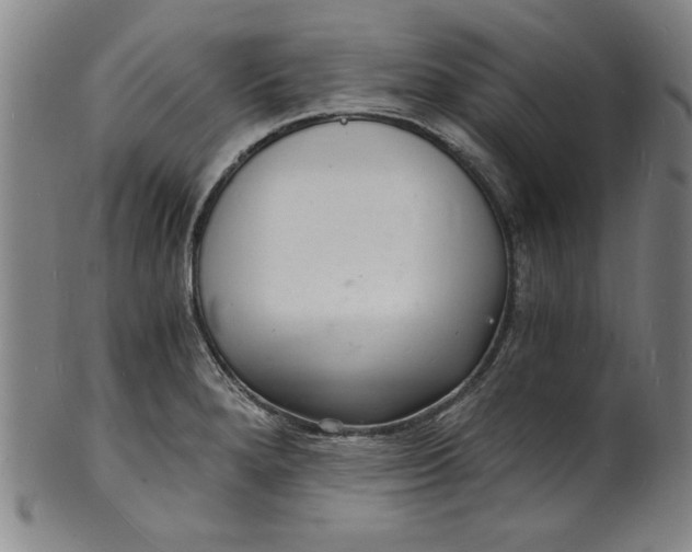 X0000102221280200808081308