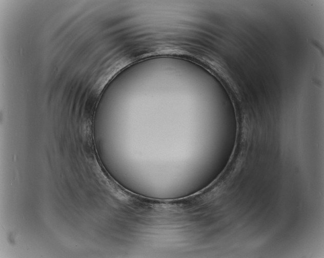 X0000102221281200808081308