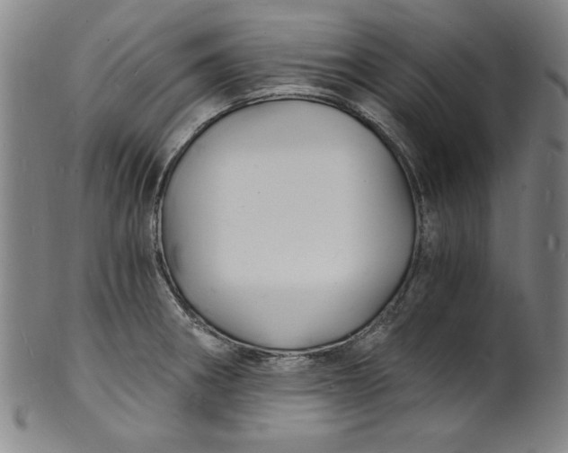 X0000102221282200808081308