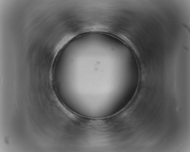 X0000102221285200808081308