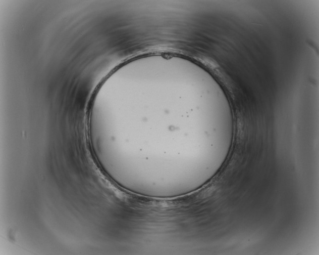 X0000102221286200808081308