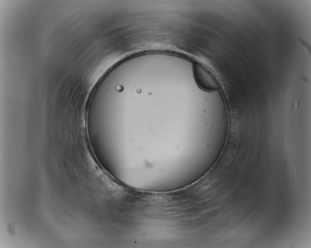 X0000102221287200808081308