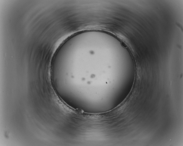 X0000102221288200808081308